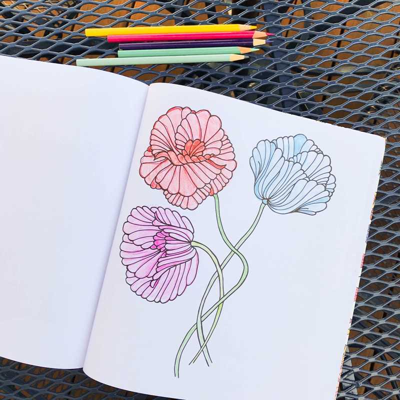 Cozy Coloring Book