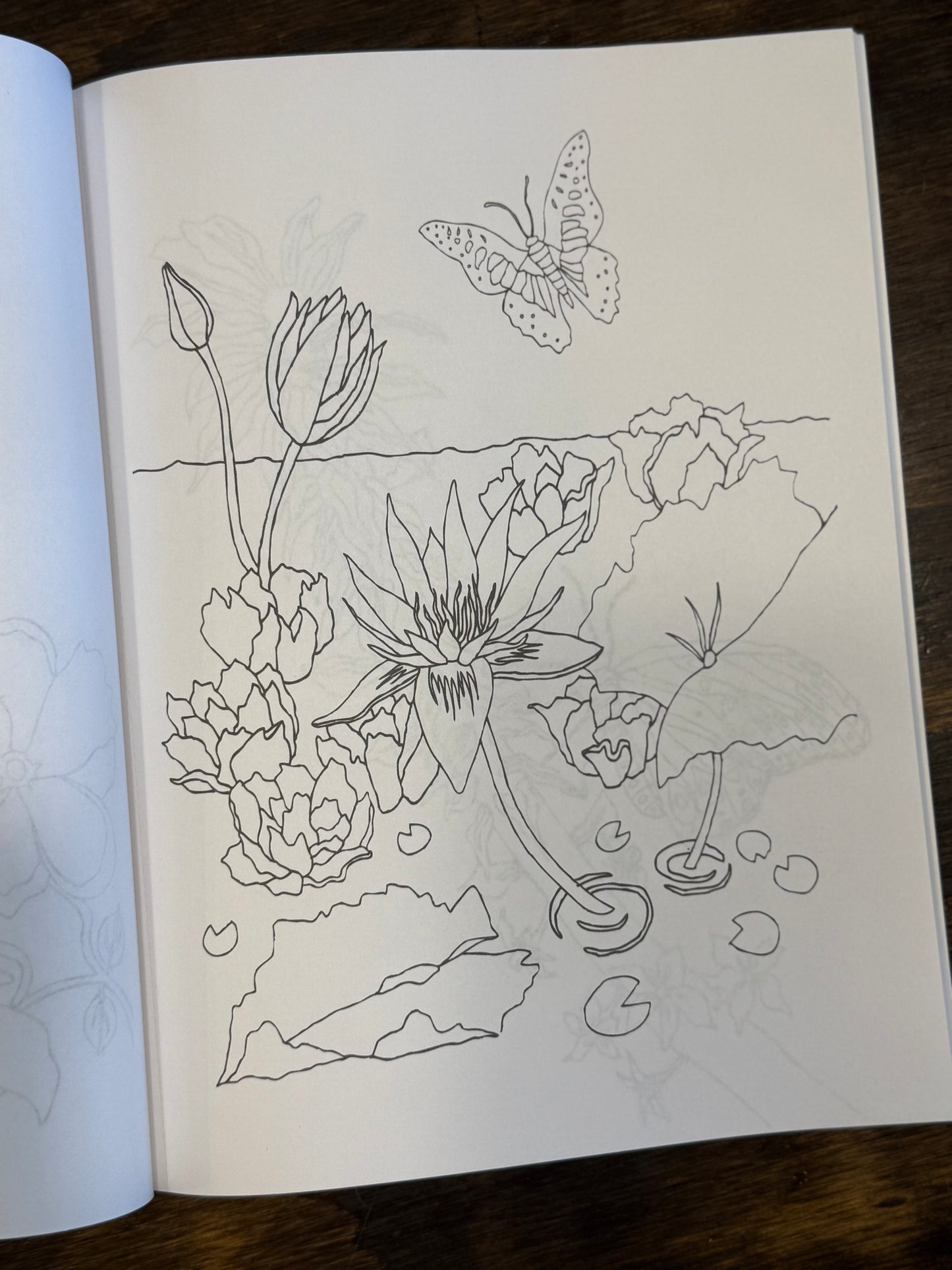 Butterfly Coloring Book