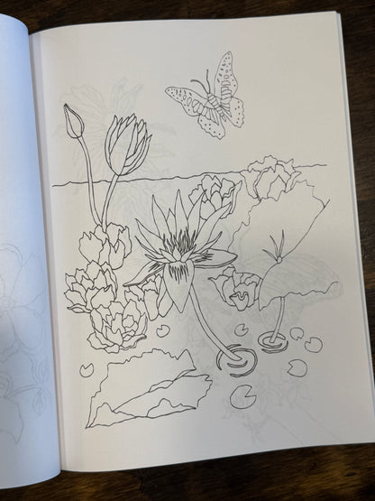 Butterfly Coloring Book